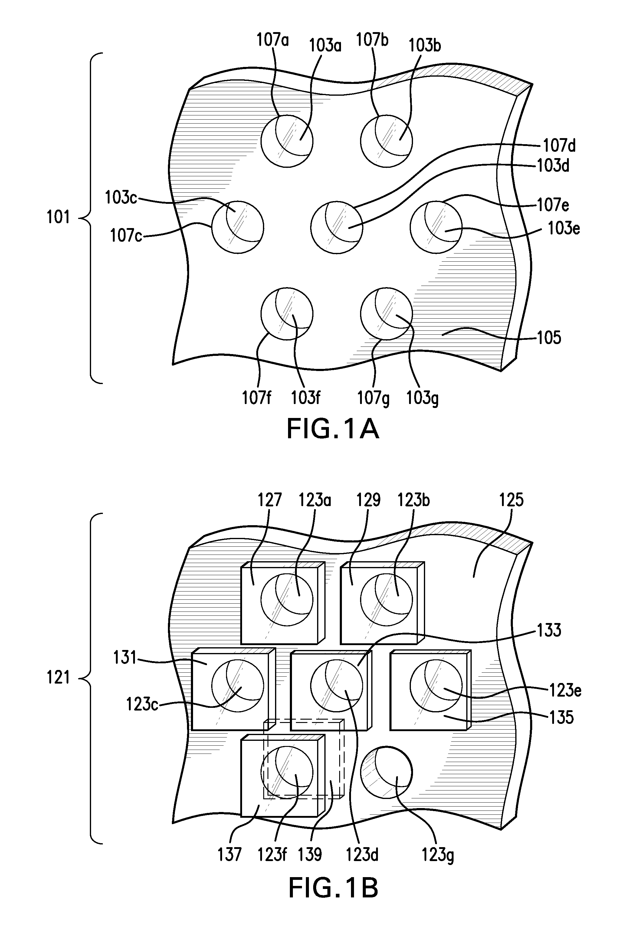 Lenslet array for retinal oximetry