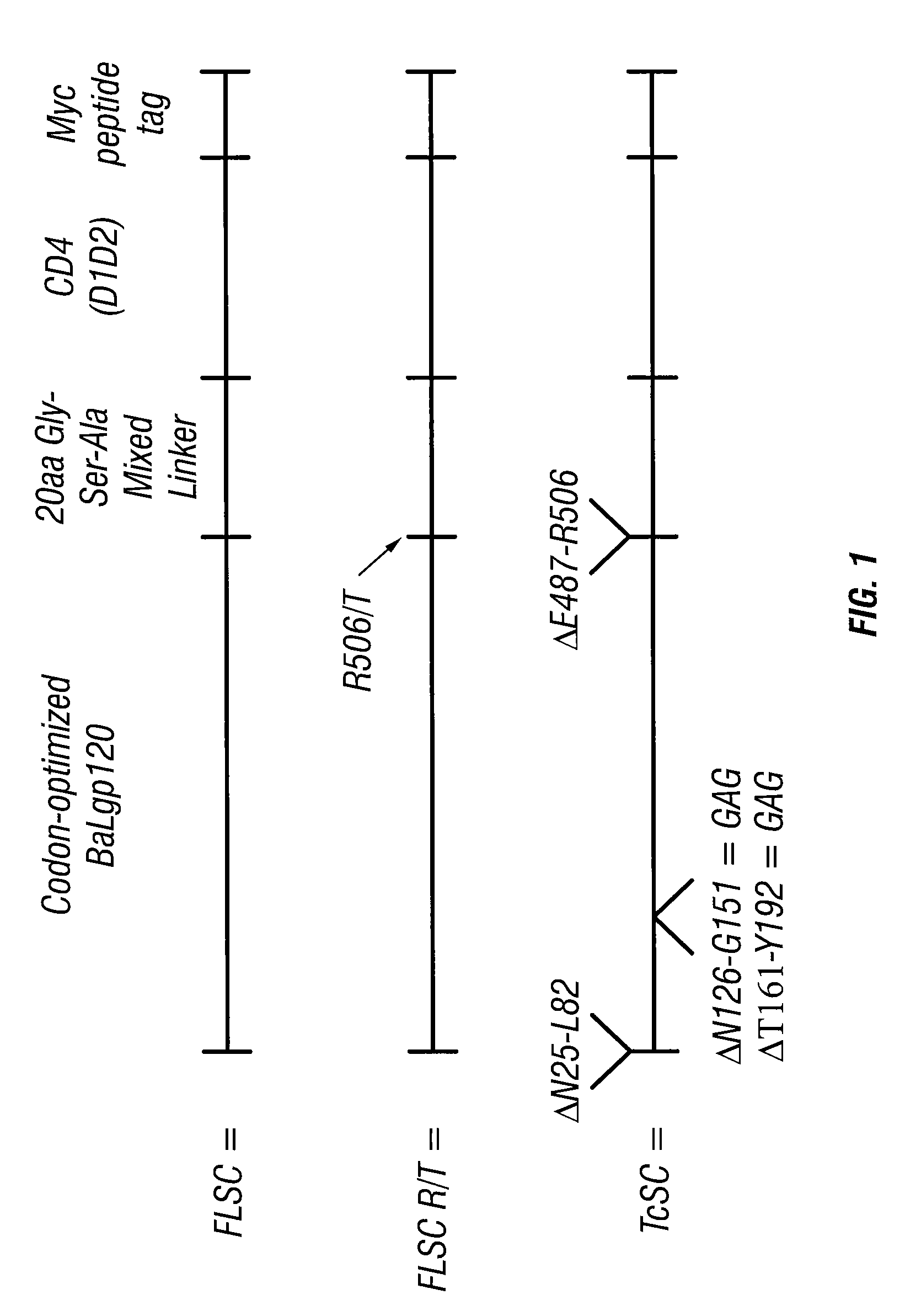 Virus coat protein/receptor chimeras and methods of use