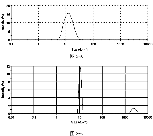 Recombinant protein HPV6L1 (Human Papilloma Virus 6 L1) and application thereof
