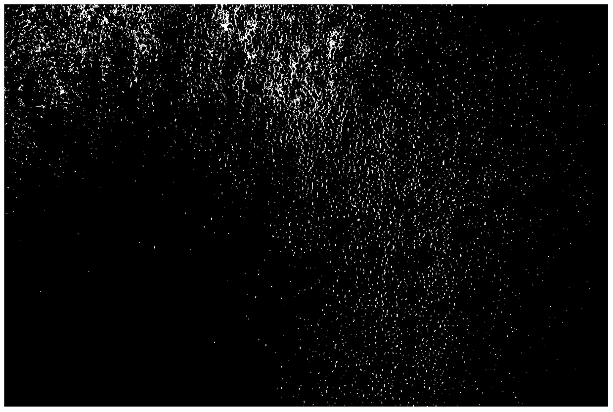 A method for inducing neural stem cells using a non-integrating plasmid vector and its use