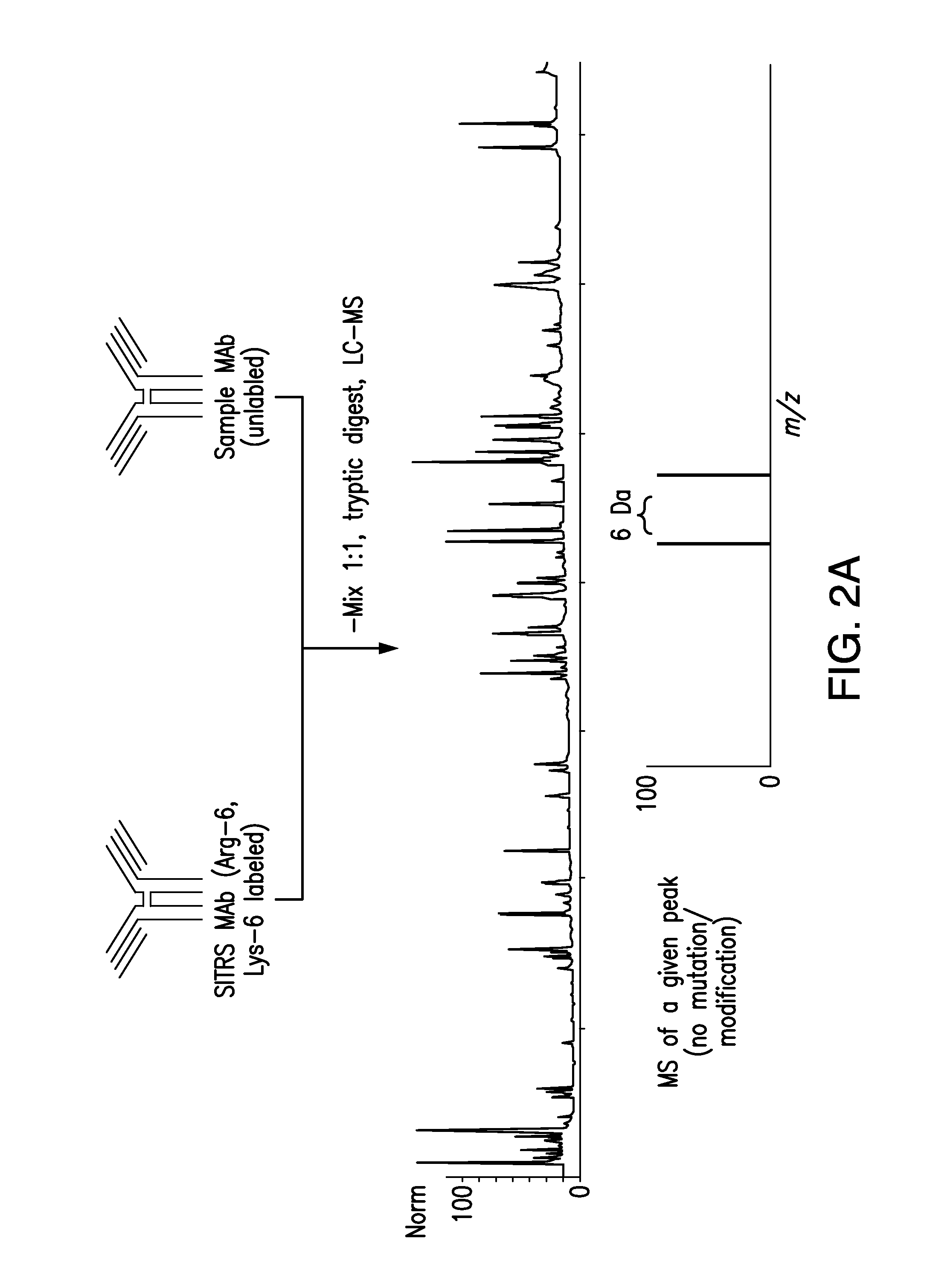 Methods and Systems for the Analysis of Protein Samples