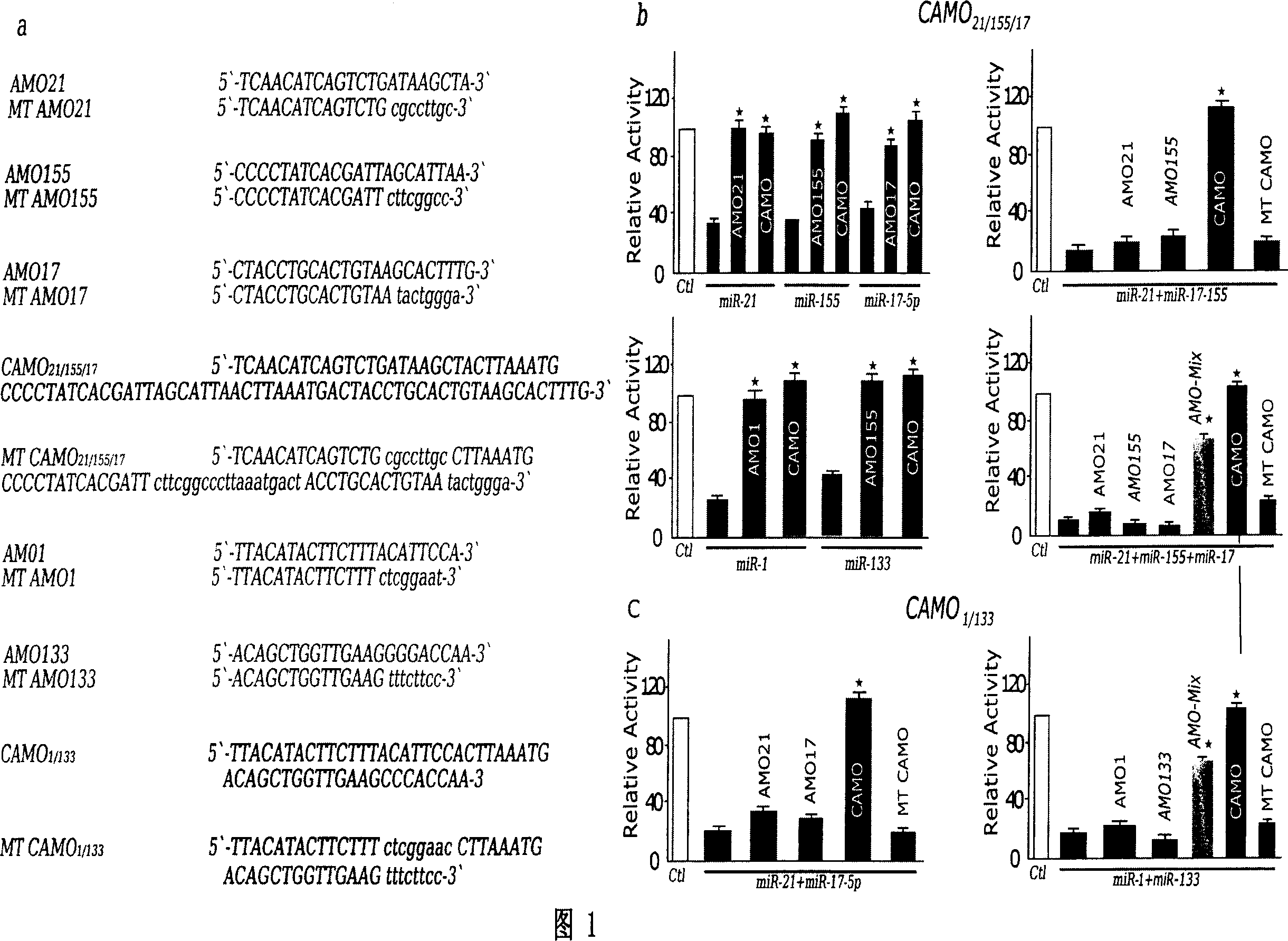 Multiple target points miRNA antisense nucleic acid technique