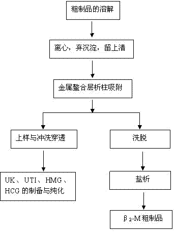 Method for preparing beta2 microglobulin crude product