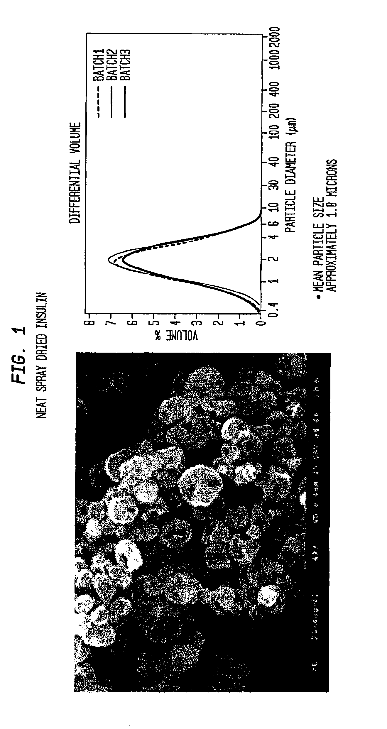 Use of mks inhibitor peptide-containing compositions for treating non-small cell lung cancer with same