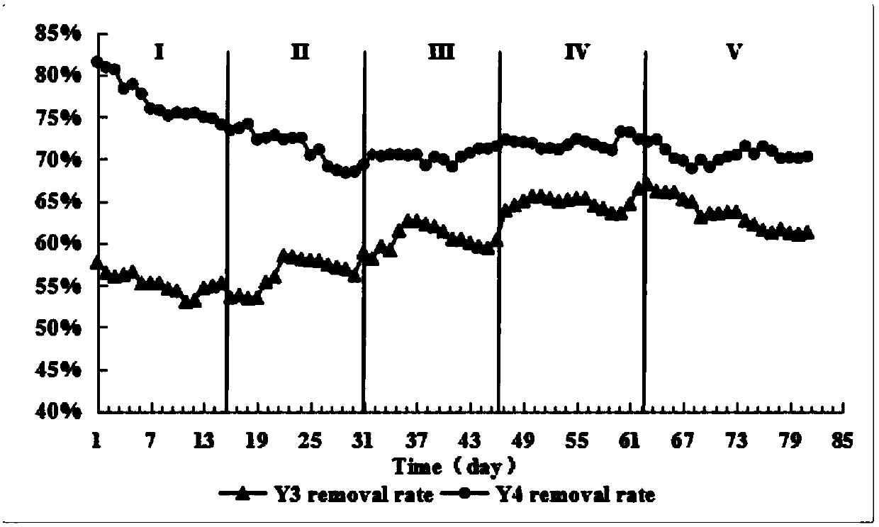 Acclimation method for processing molasses alcohol wastewater sludge