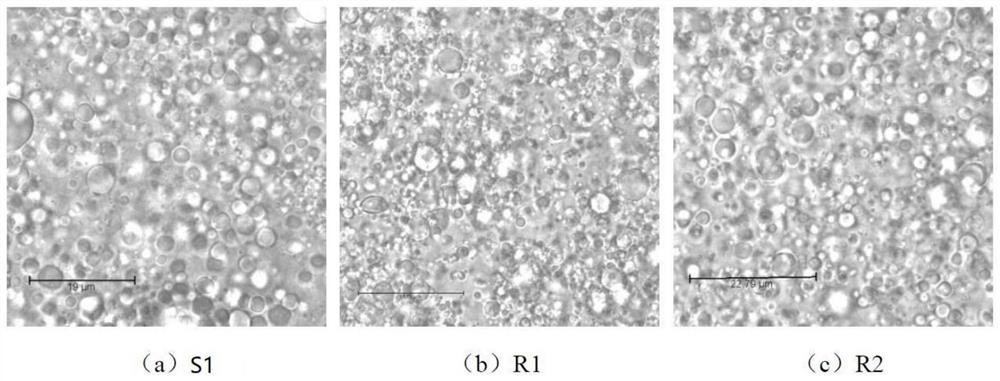 Tabasheer aqueous extract and extraction method thereof, cosmetic composition and essence emulsion