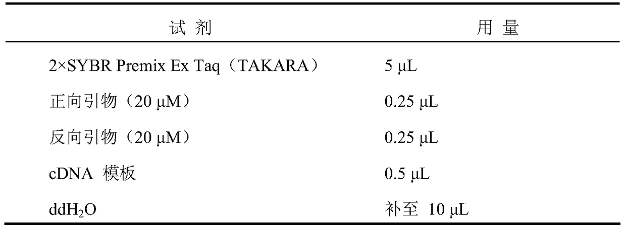 Application of myb37 protein and its coding gene in regulating plant seed germination