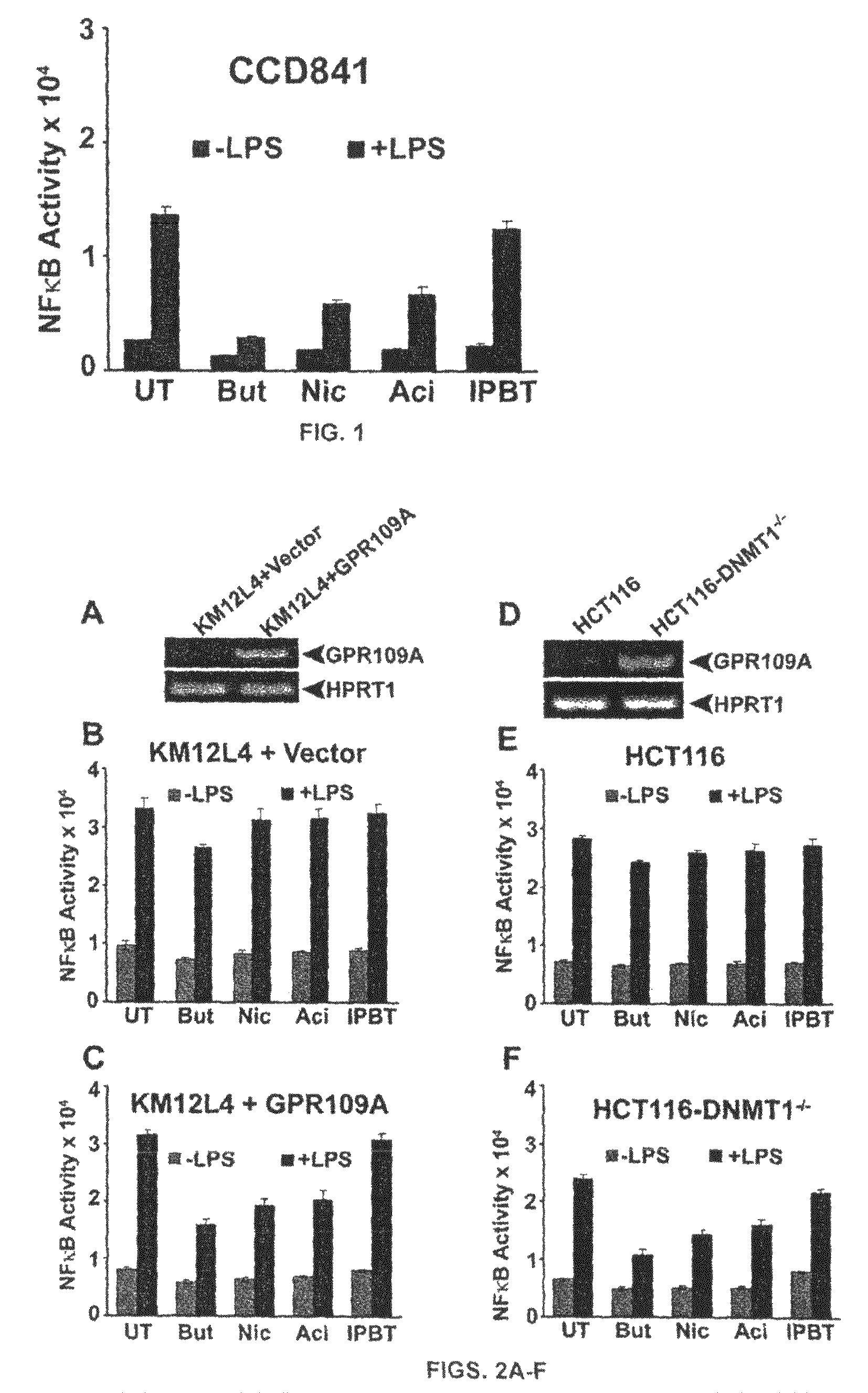 Compositions comprising a GPR109 ligand for treating disorders of the digestive tract and/or cancer
