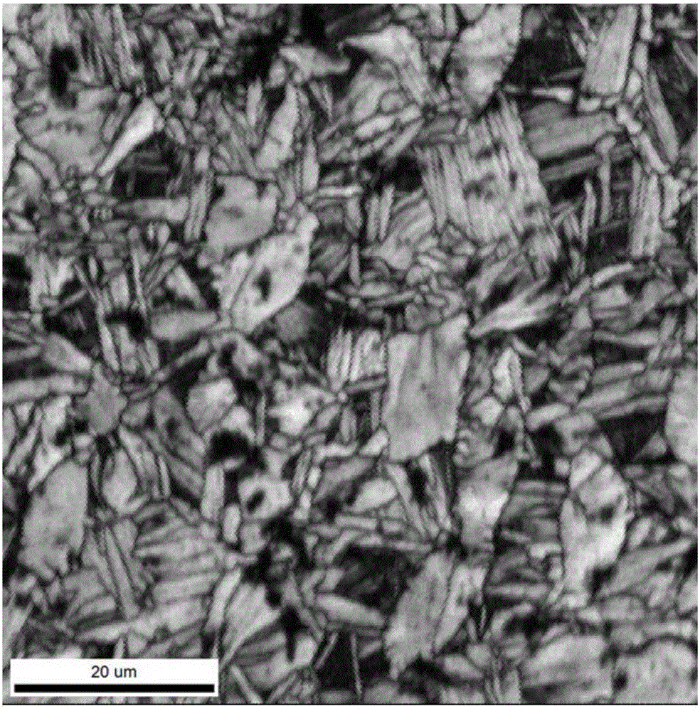 Thermal processing method for preparing multi-scale and multi-configuration double-phase titanium alloy structure