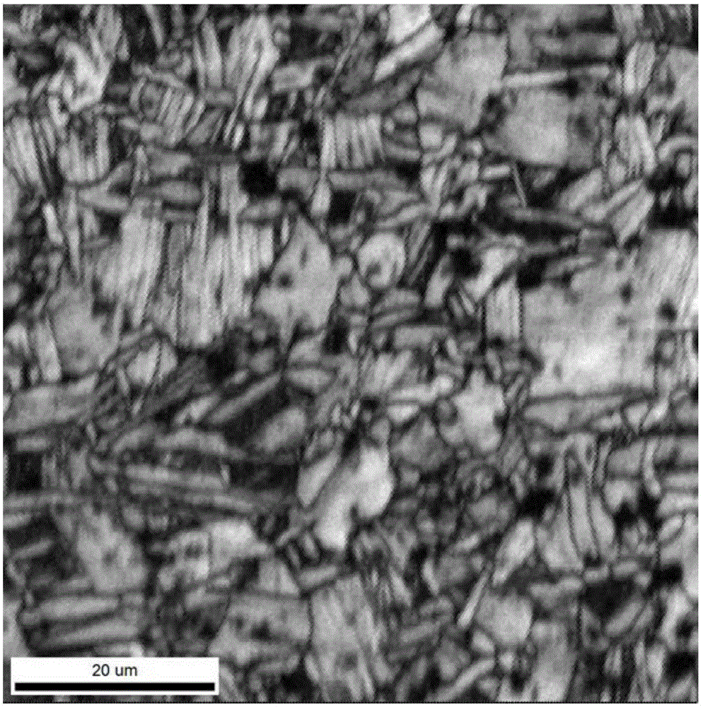 Thermal processing method for preparing multi-scale and multi-configuration double-phase titanium alloy structure