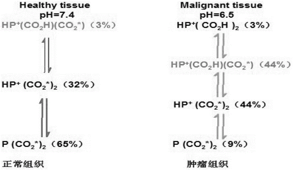 Swainsonine derivative and preparation method of research reagent of swainsonine derivative
