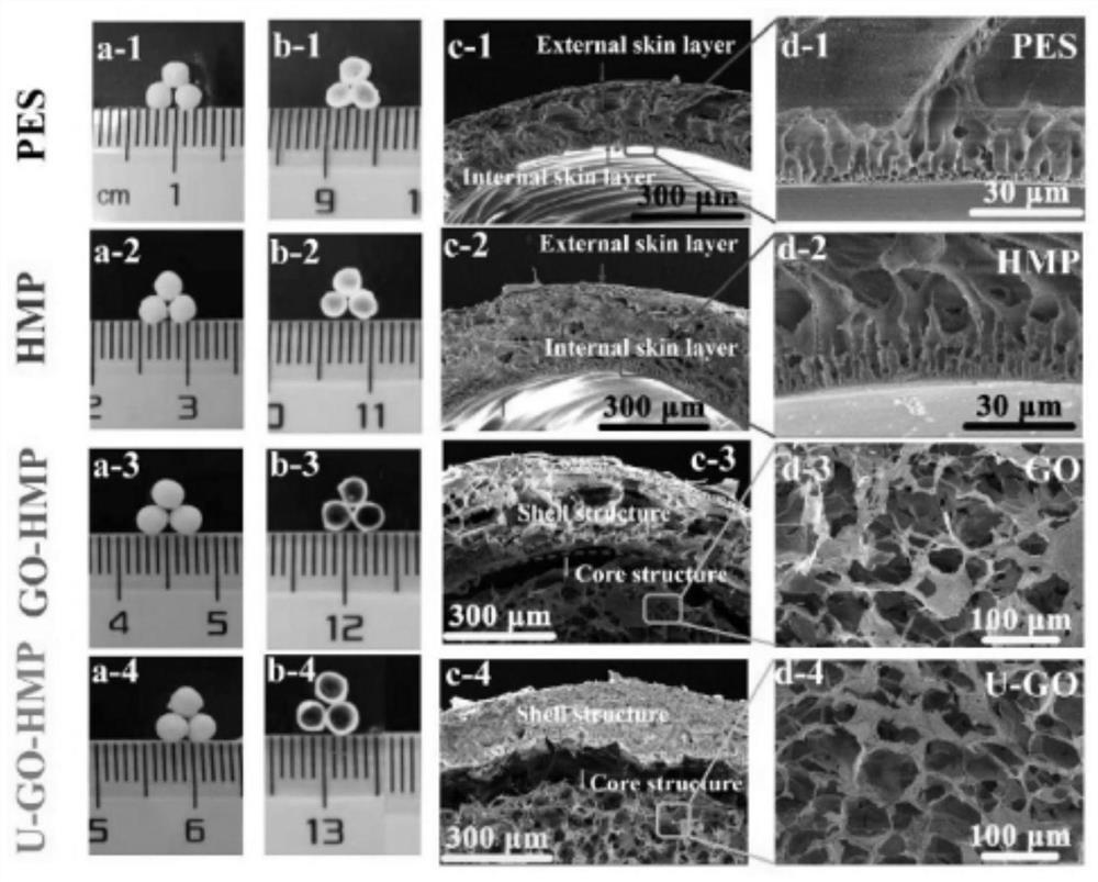 A kind of core-shell structure heparin-like microsphere based on graphene oxide grafted urease and its preparation method and application