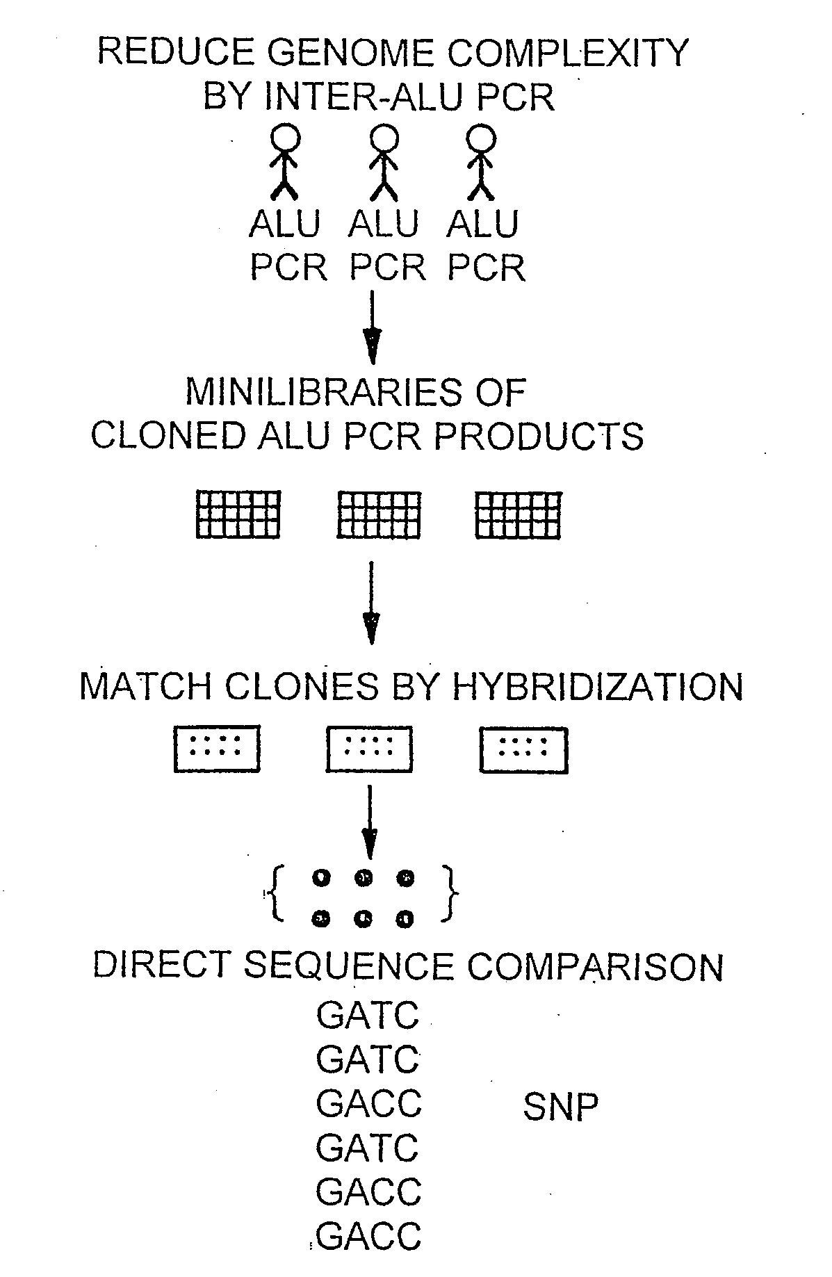 Methods and products related to genotyping and DNA analysis