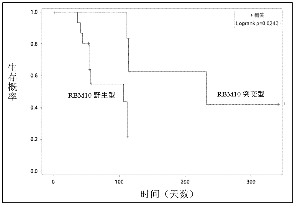 Application of RBM10 gene