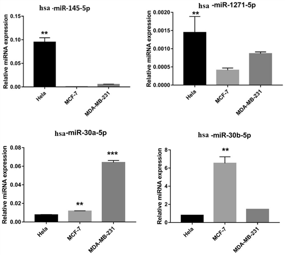 Application of hsa-mir-145-5p in the treatment of breast cancer