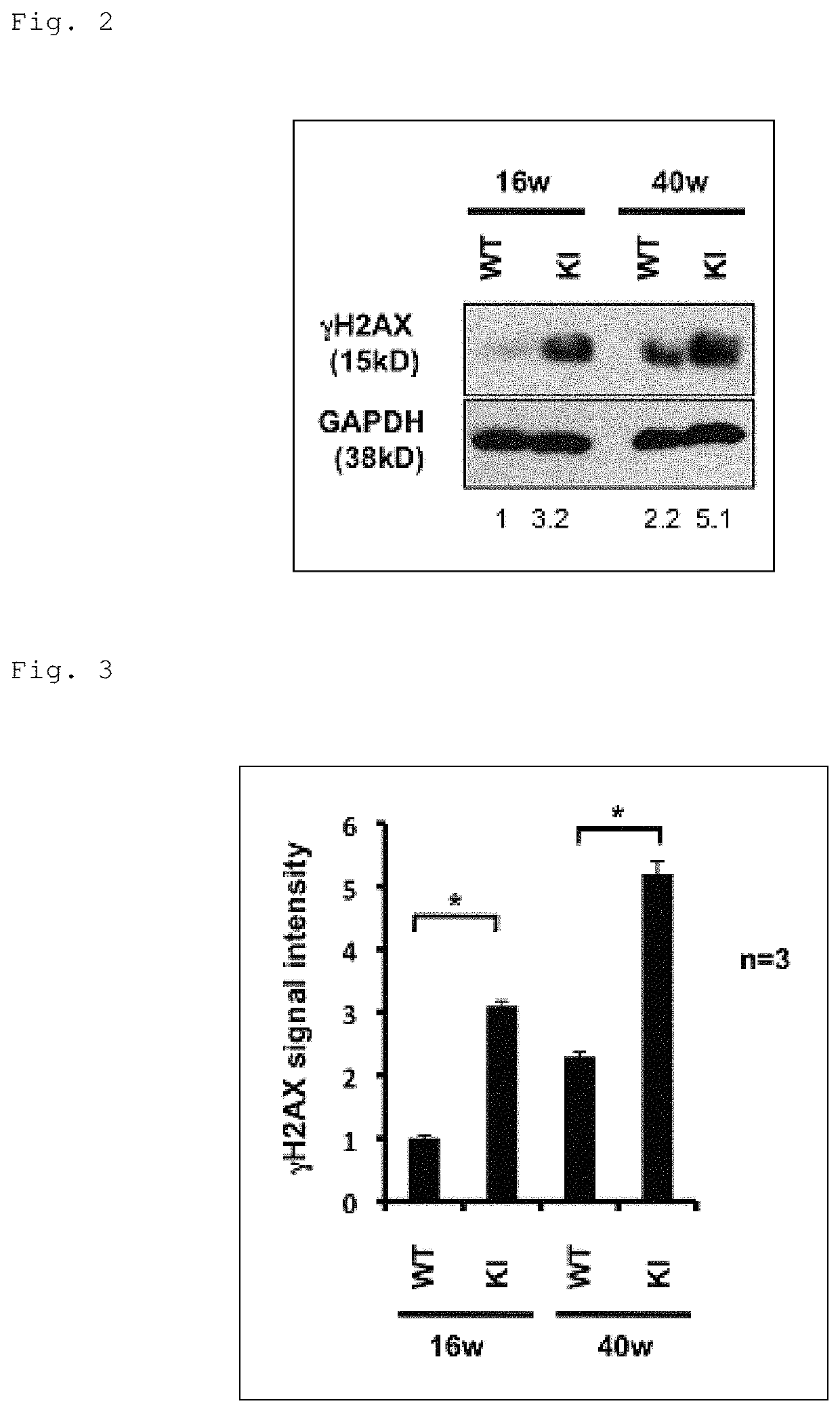 Methods for treating spinocerebellar ataxia type I using RPA1