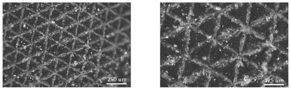 Lunar dust protection conductive film with micro-nano structure and preparation method thereof