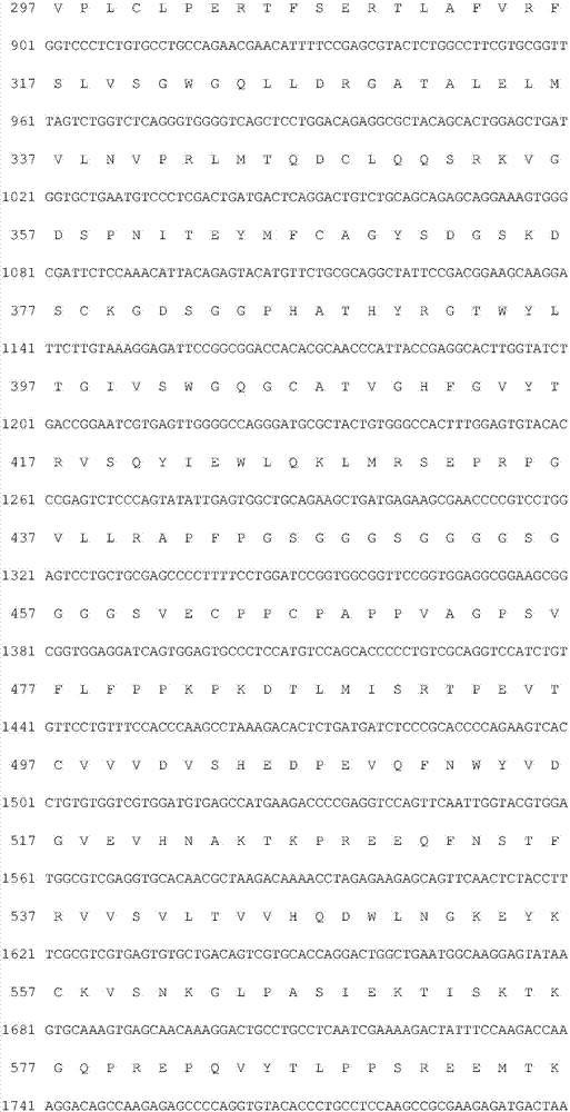 Improved human blood coagulation factor FVII-Fc fusion protein and preparation method and application thereof