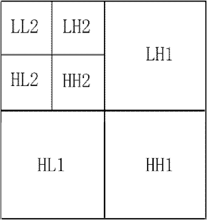 Deadweight tonnage (DWT) domain-based digital watermark method and system