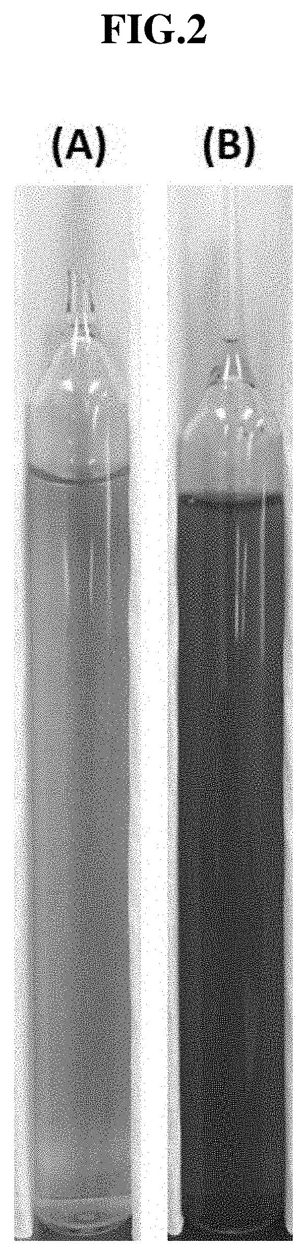 Spectrometer compatible vacuum ampoule detection system for rapidly diagnosing and quantifying viable bacteria in liquid samples