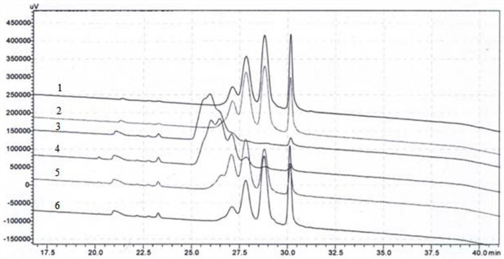 Conjugate of polyethylene glycol-polypeptide and protein drugs