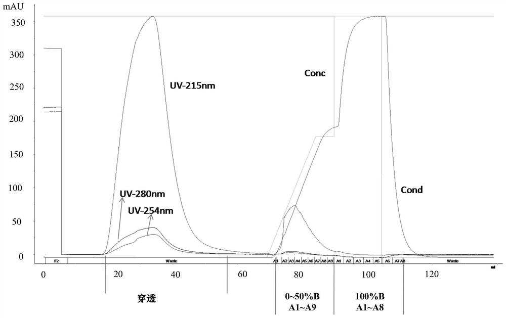 Conjugate of polyethylene glycol-polypeptide and protein drugs