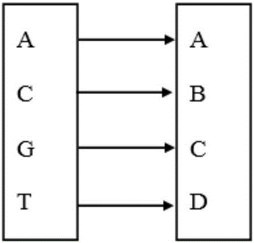 Search algorithm based on DNA k-mer index problem four-node list trie tree