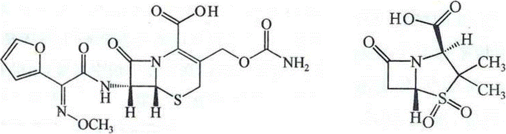 Application of drug composition product