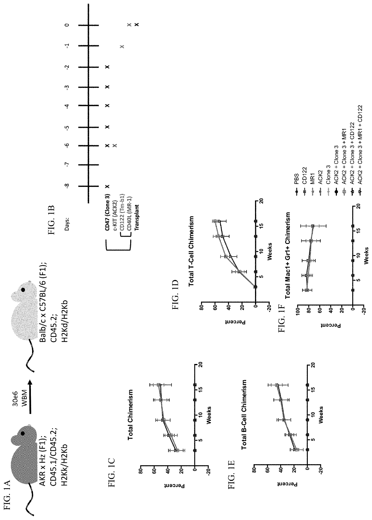 Non-genotoxic conditioning regimen for stem cell transplantation