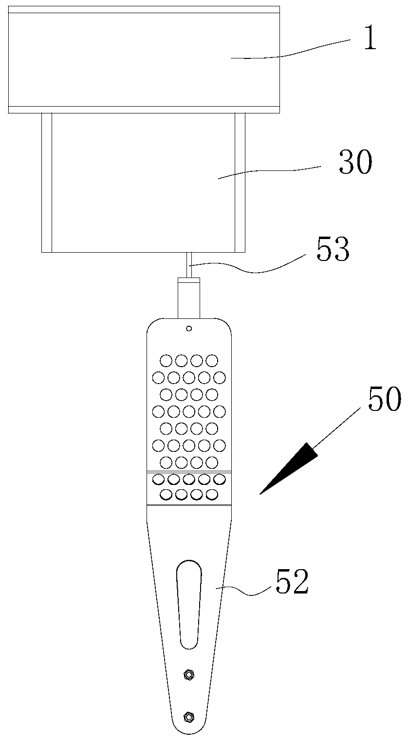 Chinese chestnut weighing device