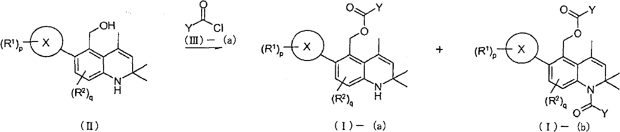 Novel 1-2-dihydroquinoline derivative having glucocorticoid receptor binding activity