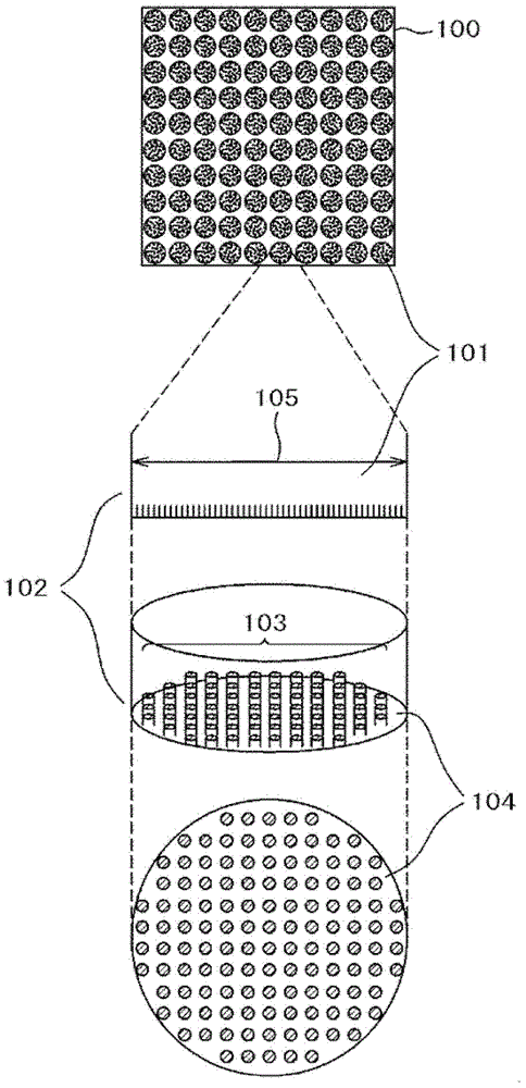 Culture substrate, culture sheet, and cell culture method