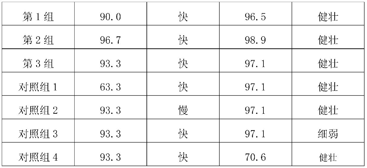 A kind of common wild rice tissue culture rapid propagation method