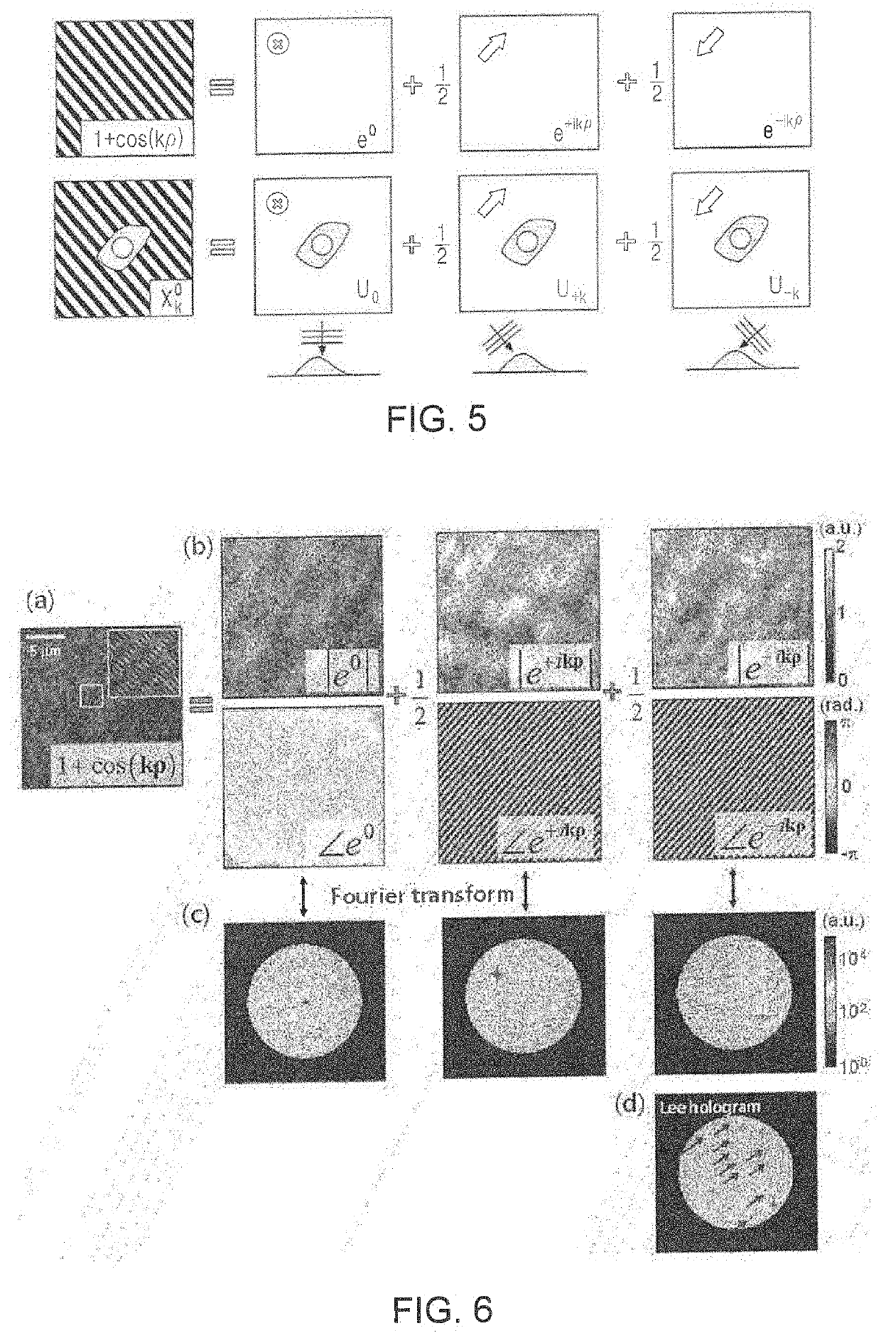 Structured illumination microscopy system using digital micromirror device and time-complex structured illumination, and operation method therefor
