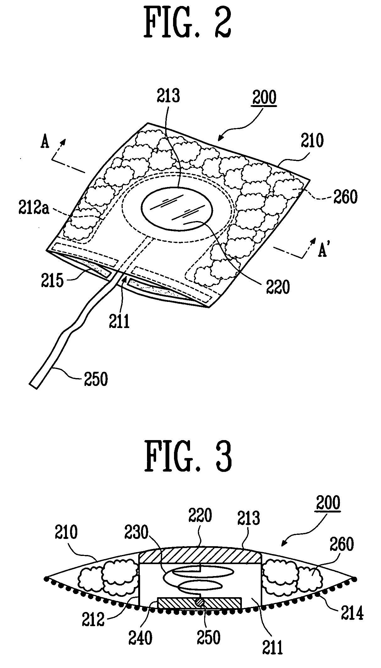 Wearable physiological signal detection module and measurement apparatus having the same