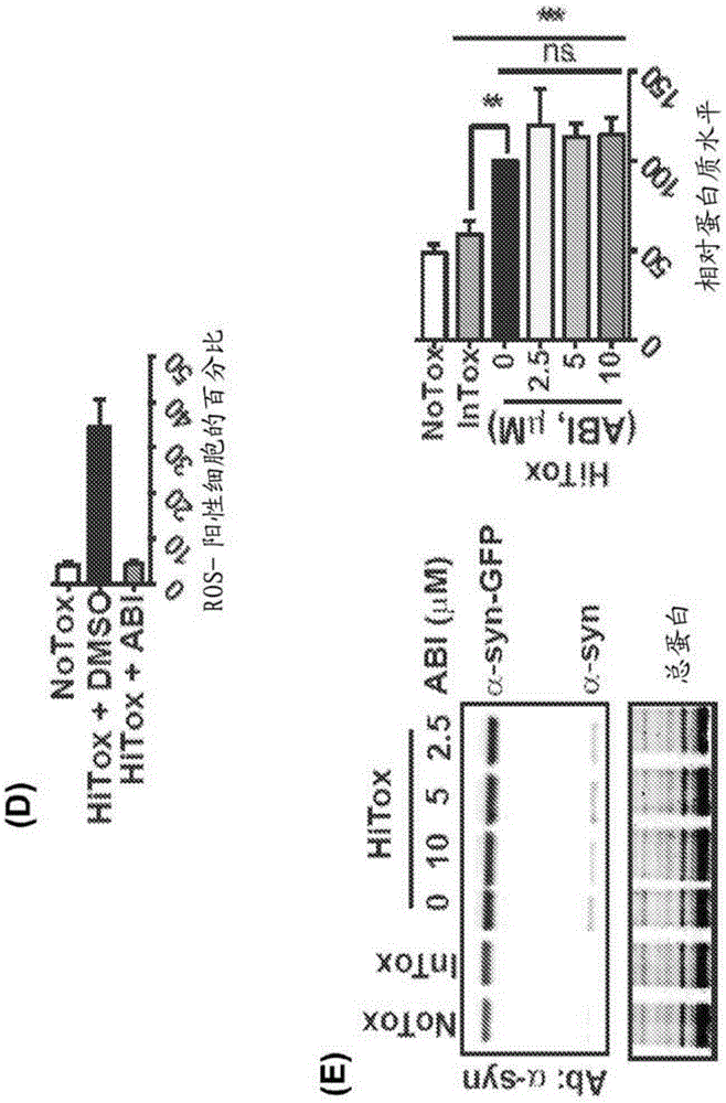 Benzimidazole derivatives and uses thereof