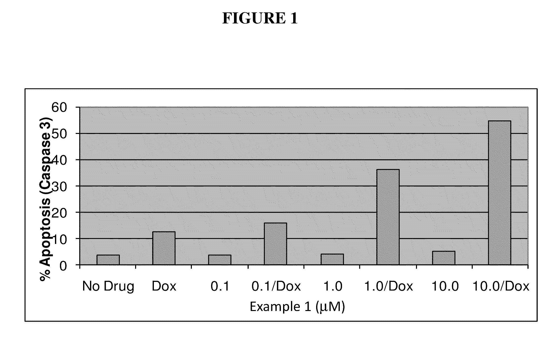Nuclear transport modulators and uses thereof