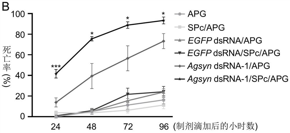 Aphid high lethal gene and application thereof in aphid control