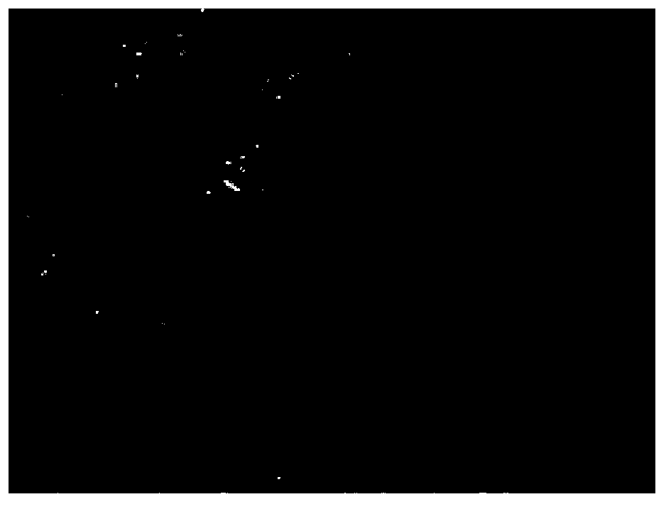 Method for forming double-layer orderly-arranged nanoparticles by utilizing polymers as templates