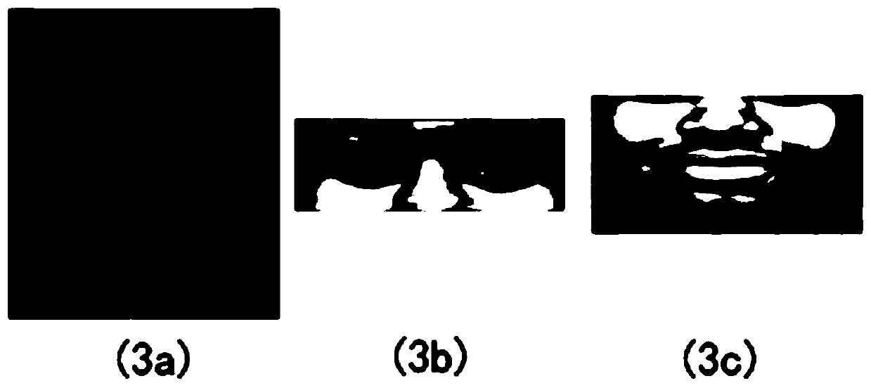 Face motion unit detection method based on physical characteristics and distribution characteristics