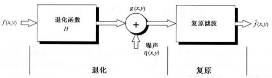 Red blood cell detection and classification method and device, computer storage medium and electronic equipment