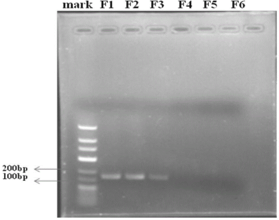 Screening method for clostridium butyricum producing efficient antibacterial peptide butyrisin