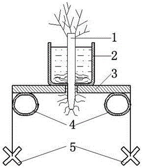 Device for planting terrestrial plants on water