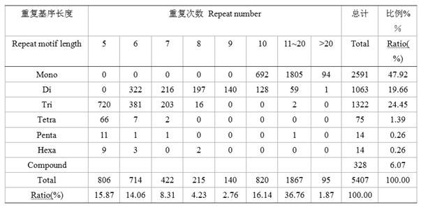 Chinese pumpkin transcriptome ssr molecular marker primers and their applications