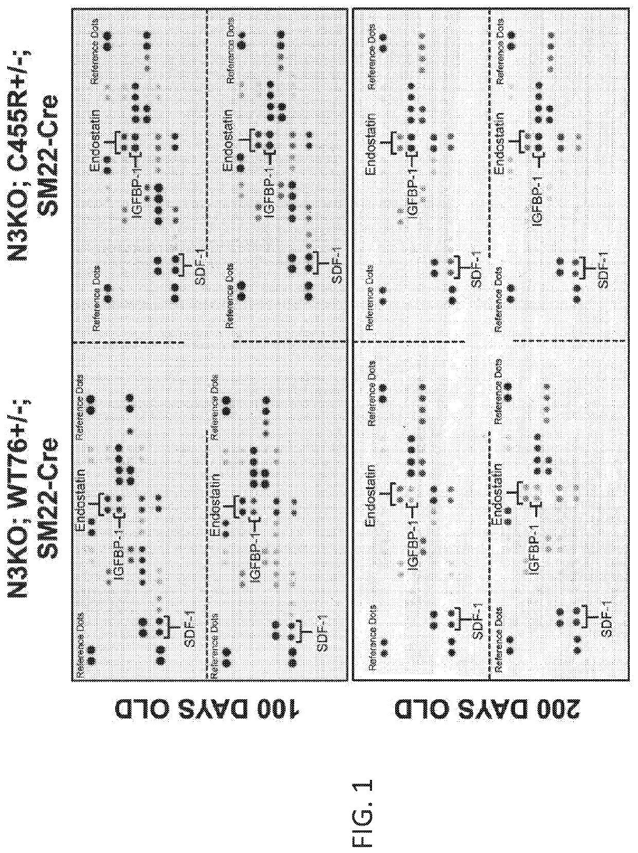 Blood biomarkers and diagnostic methods for small vessel diseases