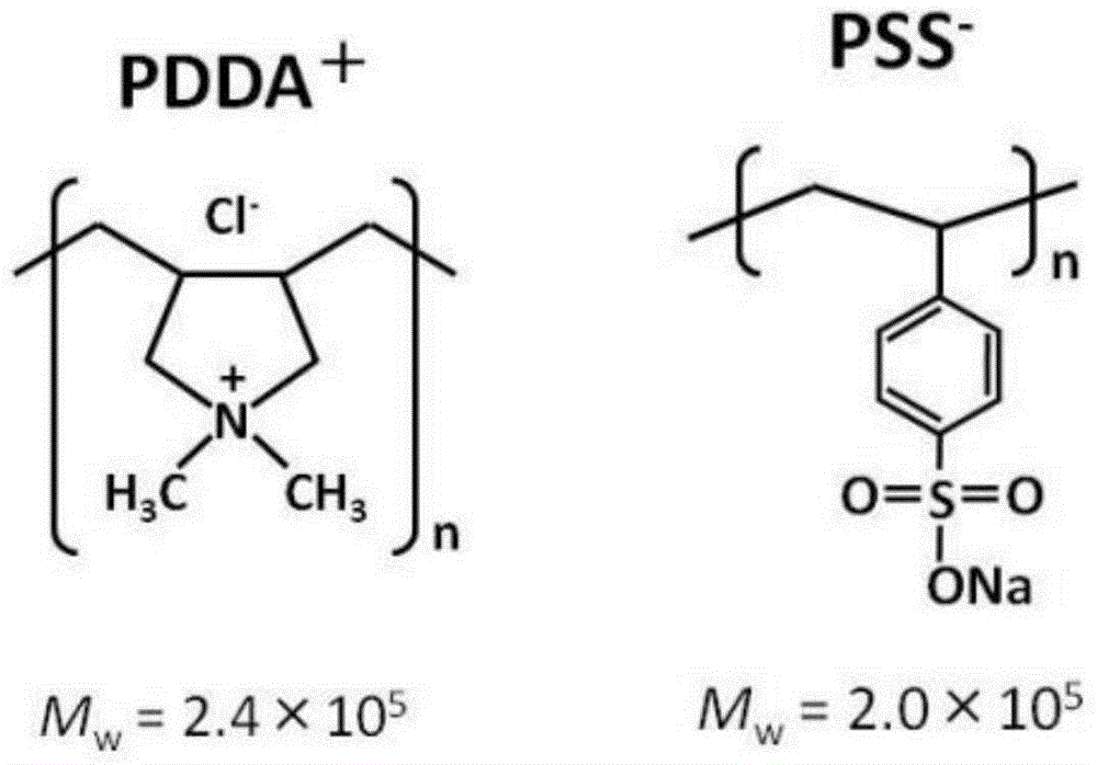 Electrophoresis flowing type ELISA method based on polyelectrolyte multilayer (PEM) substrate