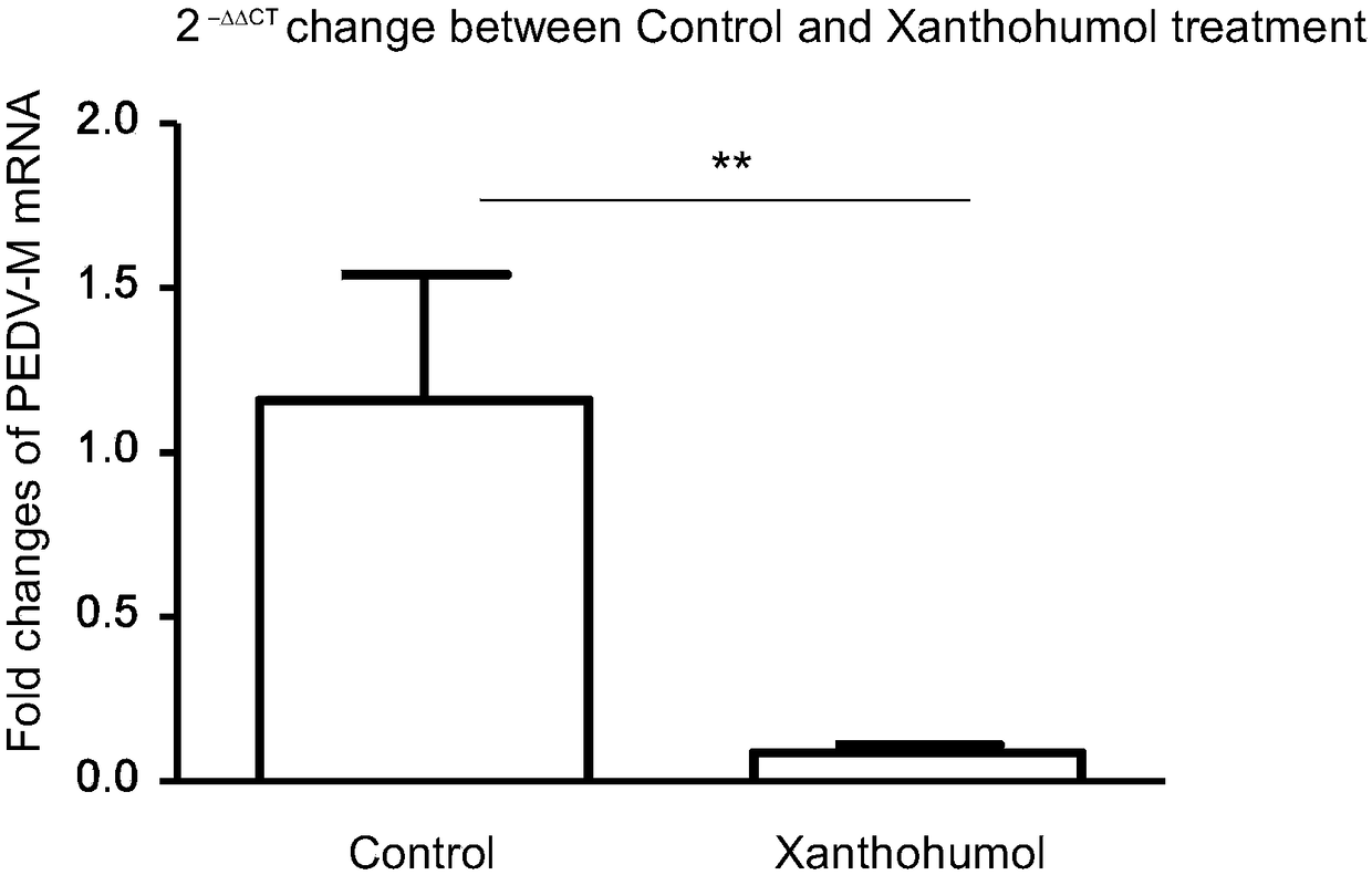 Application of xanthohumol to preparation of anti-porcine epidemic diarrhea virus medicine