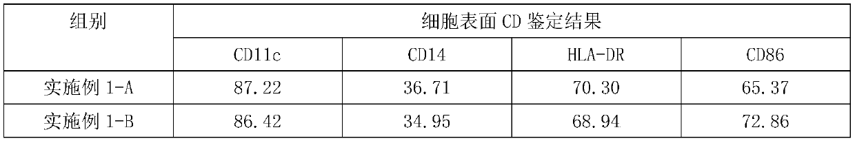 Immature dendritic cell culture solution and preparation method of immature dendritic cells