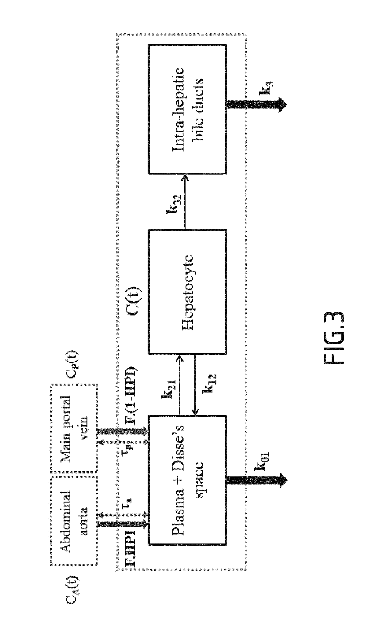 Method for post-processing MRI images to obtain hepatic perfusion and transport parameters