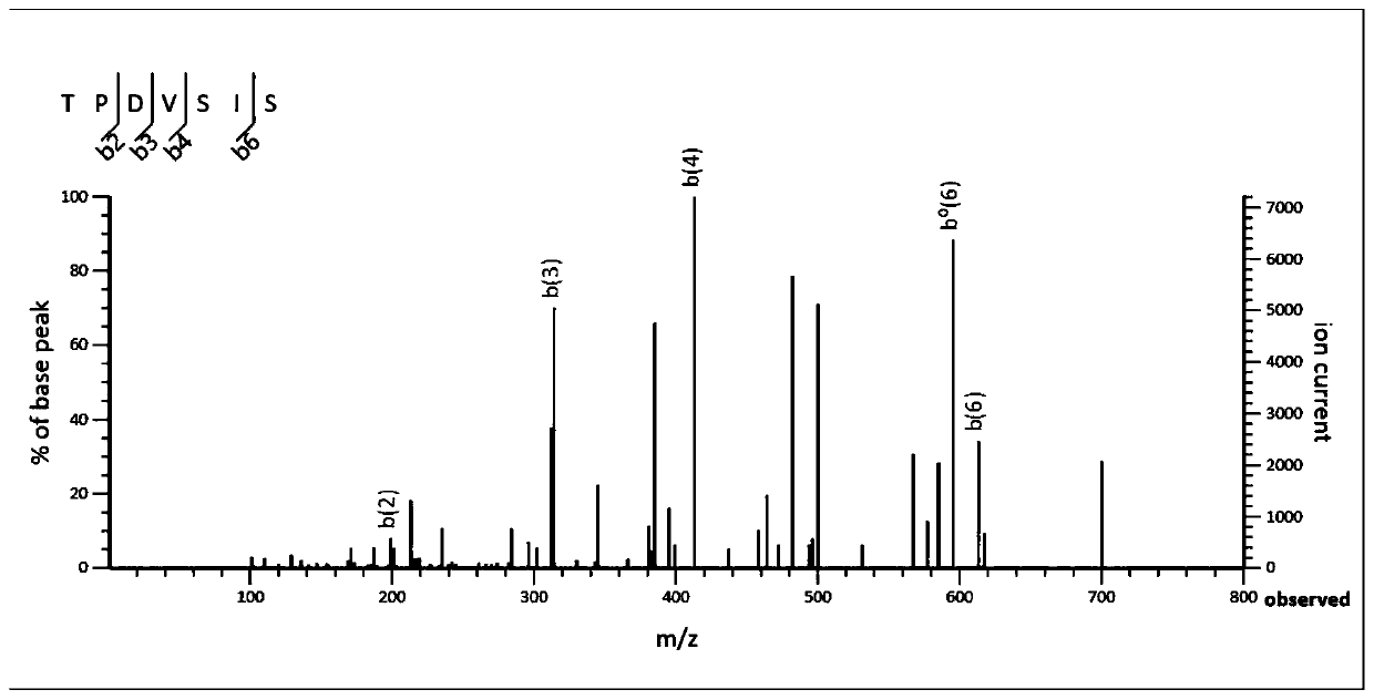 Alga protein peptide with DPP-IV inhibition function and preparation method of alga protein peptide